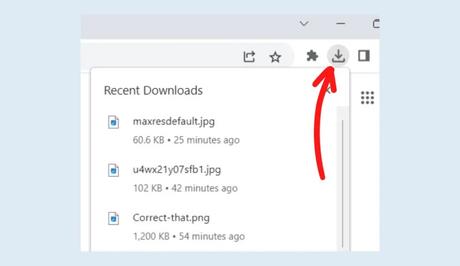 How to Fix Chrome Downloads Bar Not Showing at the Bottom