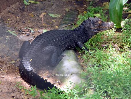 some interesting marriages !  - matches made in Heaven !!