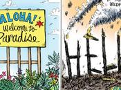 Paradise Burning