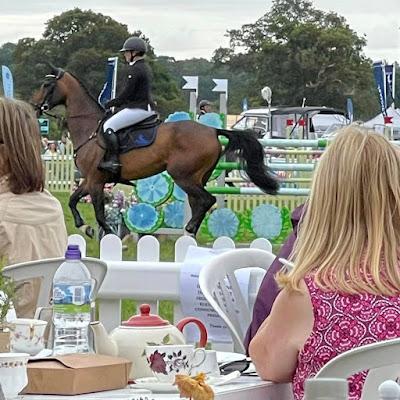 NEW FOREST AND HAMPSHIRE COUNTY SHOW, Guest Post by Susan Kean