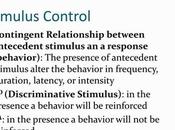 Unlocking Success with Stimulus Control Transfer Therapy: Strategies Benefits