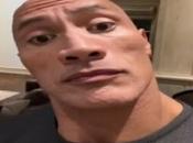 Explore Mystery Behind “monkey Holding Box” Incident