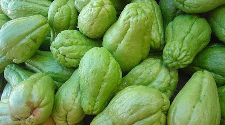 Ever heard of Chayote (Sechium edule) – you have eaten it !! Ever heard of Chayote (Sechium edule) – you have eaten it !!
