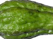 Ever Heard Chayote (Sechium Edule) Have Eaten