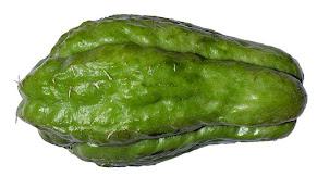 Ever heard of Chayote (Sechium edule) – you have eaten it !! Ever heard of Chayote (Sechium edule) – you have eaten it !!