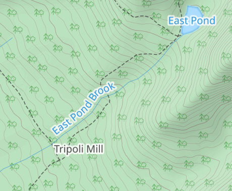 How to avoid Ticks while hiking and what to do if bitten