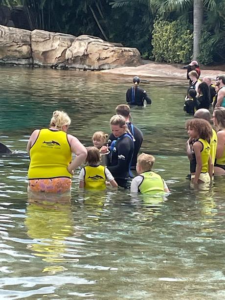 Dive into Discovery Cove Orlando: Your Ultimate Guide for an Unforgettable Experience
