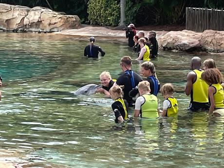 Dive into Discovery Cove Orlando: Your Ultimate Guide for an Unforgettable Experience