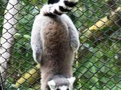 View That Matters Positivity