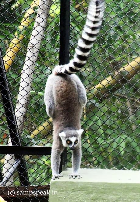 It is view that matters !  - positivity !!