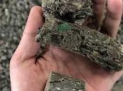 Global Refuse-derived Fuel Market Estimated Witness High Growth Owing Increasing Adoption Sustainable Waste Management Practices