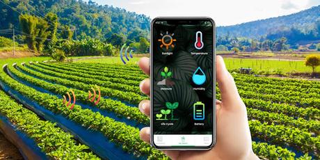 Smart Agriculture Solution Market