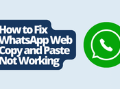 WhatsApp Copy Paste Working