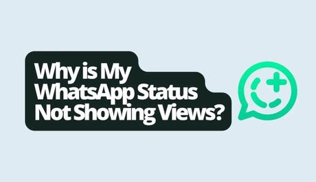 Why is My WhatsApp Status Not Showing Views?