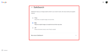 Safe Search option in Google