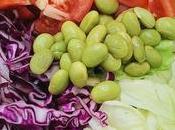 Growing Your Food: Start Vegetable Garden