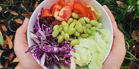 How to Start a Vegetable Garden How to Start a Vegetable Garden