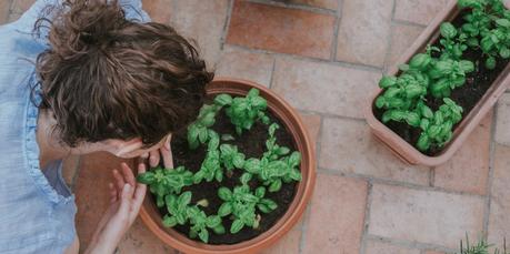 Herb Gardening Herb Gardening