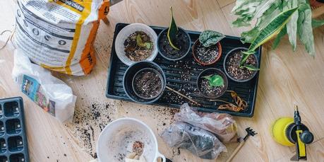Gardening 101: Understanding Soil Types and Improving Garden Health Gardening 101: Understanding Soil Types and Improving Garden Health