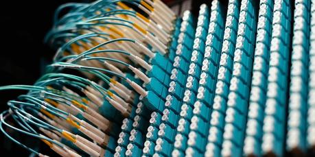 Neural Networks Neural Networks