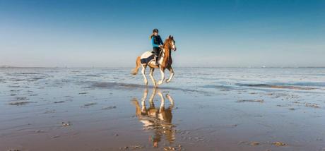 What To Wear Horseback Riding Beach