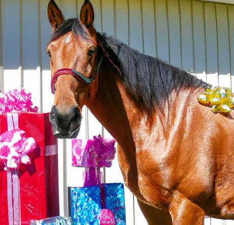 Ten Gifts You Can Give Your Horse For Its Birthday