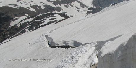 Valley of flowers Gallery and Wallpapers