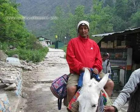 Govindghat to Ghangaria by pony