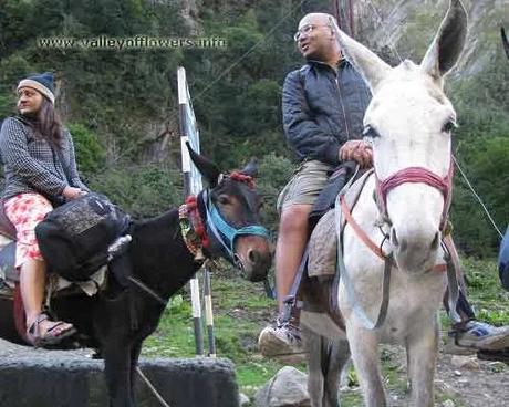 Govindghat to Ghangaria