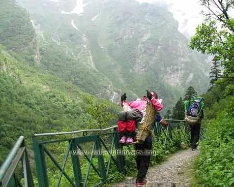 Porter carrying a lady to Valley of flowers