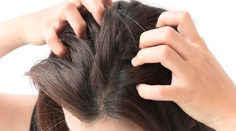 Global Scalp Care Market Is Estimated To Witness High Growth Owing To Rising Demand for Natural and Organic Products Global Scalp Care Market Is Estimated To Witness High Growth Owing To Rising Demand for Natural and Organic Products