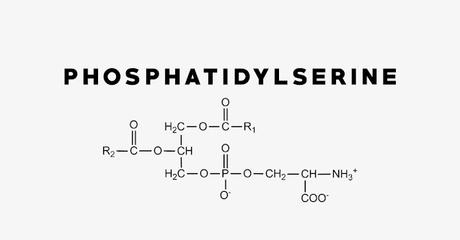 Global Phosphatidylserine Market Is Estimated To Witness High Growth Owing To Increasing Demand for Cognitive Health Supplements Global Phosphatidylserine Market Is Estimated To Witness High Growth Owing To Increasing Demand for Cognitive Health Supplements