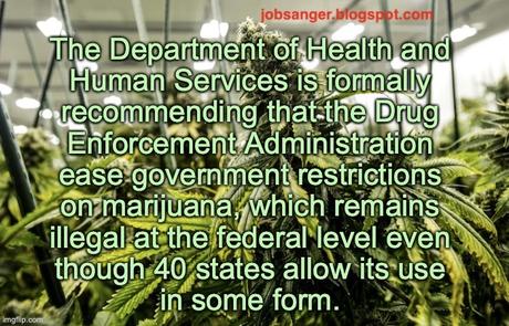 HHS Department Recommends Marijuana Reclassification