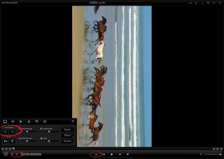 how to rotate a video