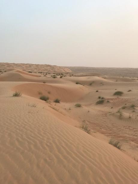 Oman-desert-quotes-for-Instagram