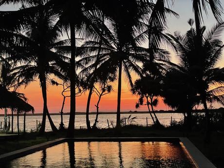 red-and-orange-sunset-reflected-in-pool-with-silhouetted-palm-trees