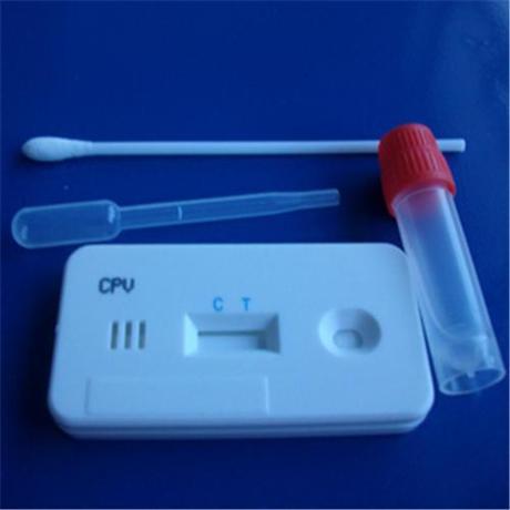 Global Shigella Test Kit Market Is Estimated To Witness High Growth Owing To Increasing Awareness about Foodborne Illnesses Global Shigella Test Kit Market Is Estimated To Witness High Growth Owing To Increasing Awareness about Foodborne Illnesses