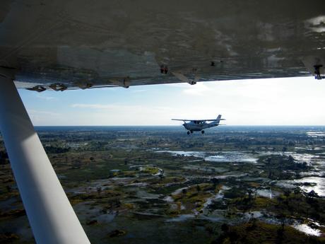 flying-small-cessnas-in-formation-over-the-okavango-delta