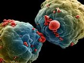 Global Wilms Tumor Protein Market Estimated Witness High Growth Owing Rising Demand Diagnostic Therapeutic Products