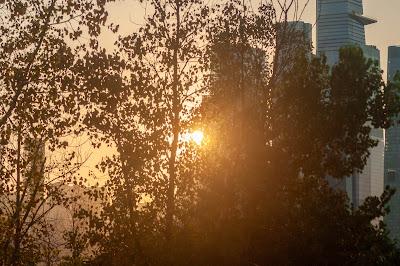 Variations on a sunrise