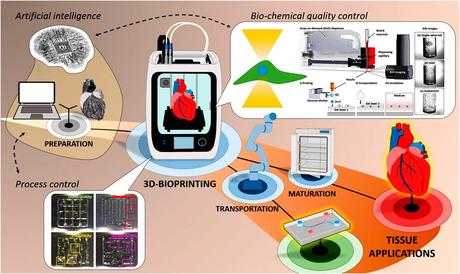 The Future of Bioprinting in Healthcare: A Revolution in Medicine