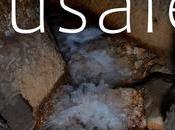 JERUSALEM. TUNNELS City David. Journey Through Time (video)