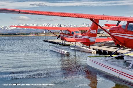 Cessna U206G Stationair