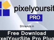 PixelYourSite Plugin Free Download [v9.10.3]