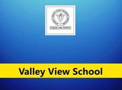 Valley View School North Lakhimpur Recruitment Website Software Handler Post