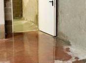 Tips Help Prevent Water Damage Your Home