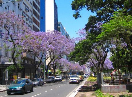 When’s The Best Time To Visit Buenos Aires?