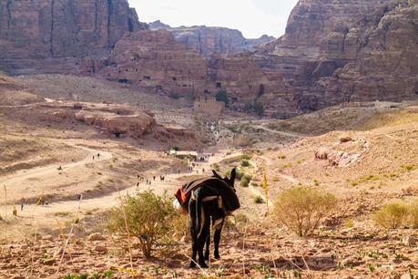 Petra – Jordan’s Ancient City & New World Wonder