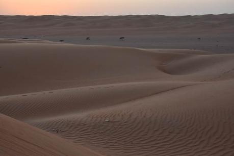 A Night in the Omani Desert