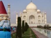 Felix Roaming Gnome Mahal, India